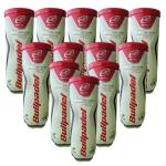 Pack de 12 Botes de Pelotas Bullpadel Premium Pro