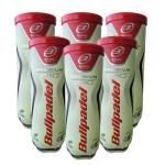 Pack de 6 botes de Pelotas Bullpadel Premium Pro