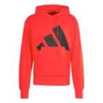 Sudadera Adidas Big Logo BL Roja
