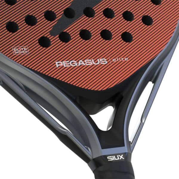 Puente de la Pala Siux Pegasus Elite 4