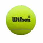 Pelotas Wilson Premier Padel Speed