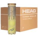 Cajón 18 Botes de Pelotas HEAD Tour 4B