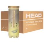 Cajón 24 Botes de pelotas HEAD Tour 3B